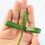 Palm cross