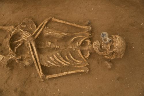 A Philistine skeleton with juglet. (Photo/Leon Levy Expedition to Ashkelon)